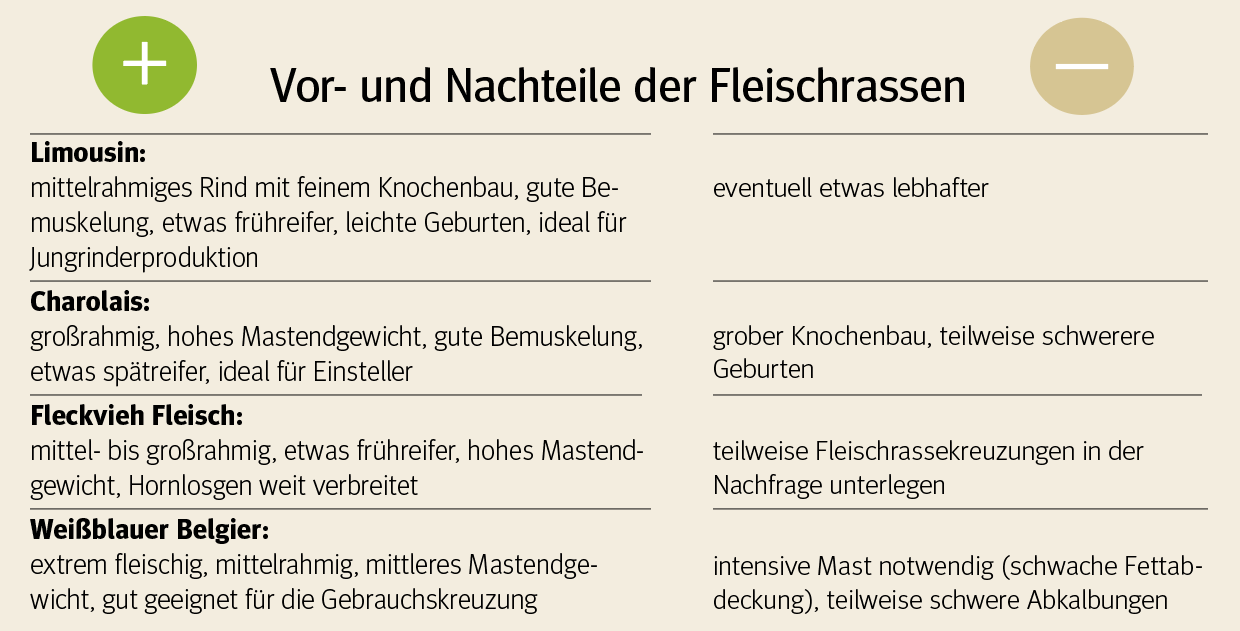 Bildschirmfoto 2021-04-28 um 12.05.43.png © Archiv